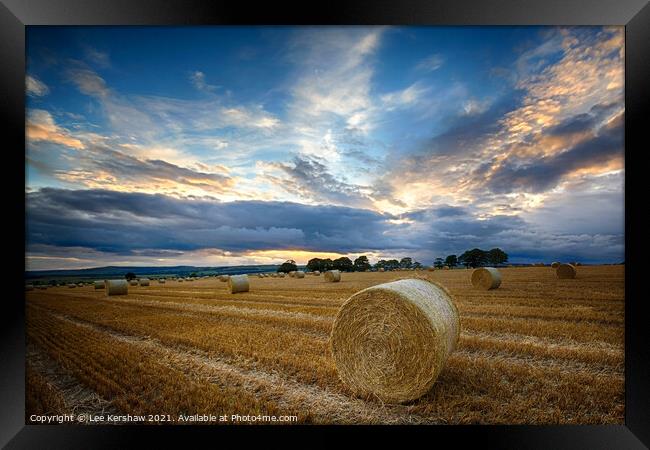 Hay Rolls in a Northumbrian sunset Framed Print by Lee Kershaw