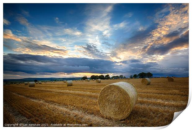 Hay Rolls in a Northumbrian sunset Print by Lee Kershaw