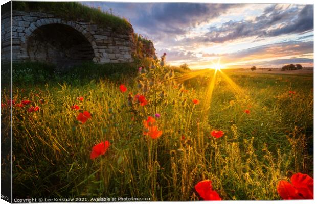Lime Kiln sunset in a Poppy field at Rennington Northumberland Canvas Print by Lee Kershaw