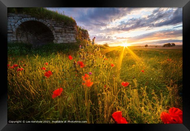 Lime Kiln sunset in a Poppy field at Rennington Northumberland Framed Print by Lee Kershaw