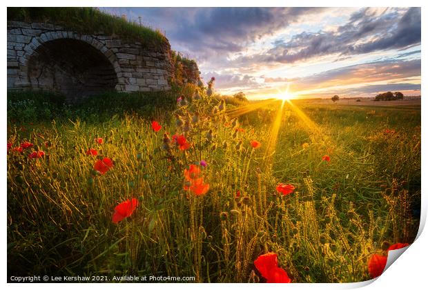 Lime Kiln sunset in a Poppy field at Rennington Northumberland Print by Lee Kershaw