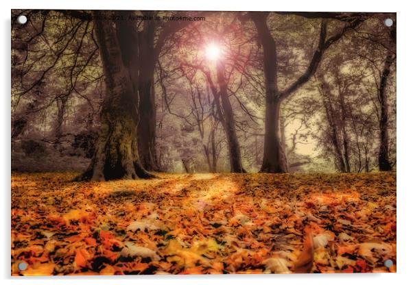 Chesham woods bury Acrylic by Derrick Fox Lomax