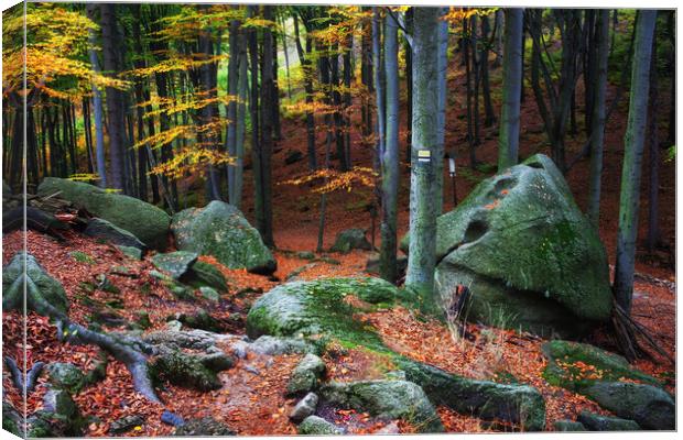 Mountain Forest Autumn Scenery Canvas Print by Artur Bogacki
