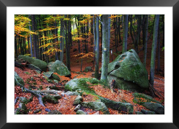 Mountain Forest Autumn Scenery Framed Mounted Print by Artur Bogacki