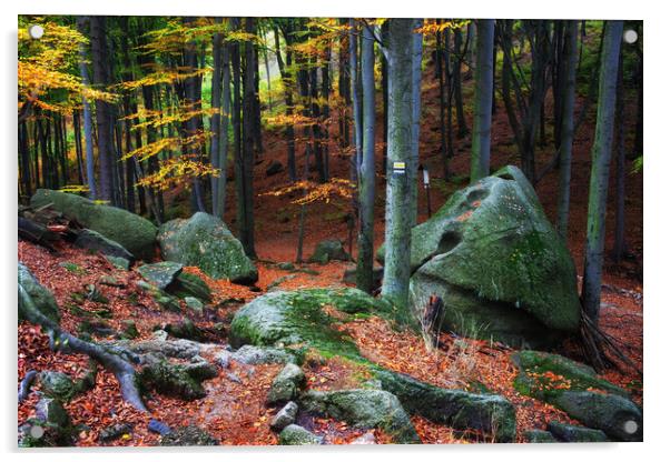 Mountain Forest Autumn Scenery Acrylic by Artur Bogacki