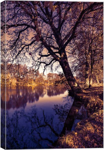 Fall season landscape lake water and autumn tree Canvas Print by Alex Winter