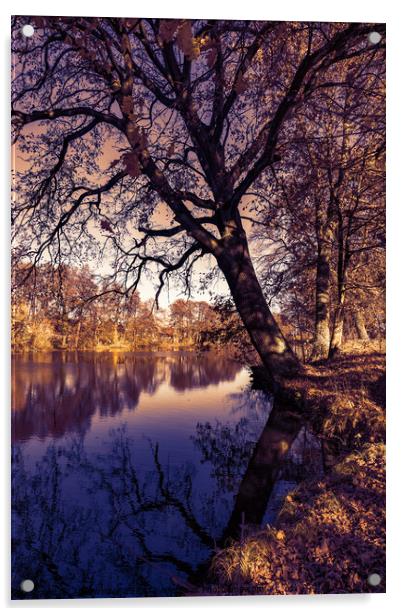 Fall season landscape lake water and autumn tree Acrylic by Alex Winter