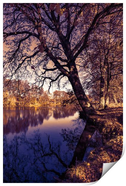 Fall season landscape lake water and autumn tree Print by Alex Winter