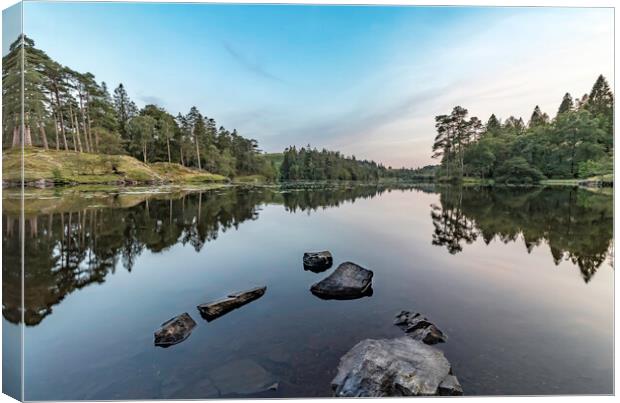 Serenity at Tarn Hows Canvas Print by James Marsden