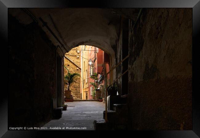 Alley Street on the center of Riomaggiore Framed Print by Luis Pina