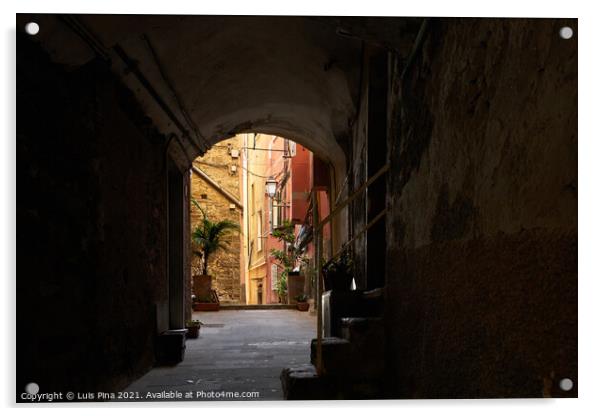 Alley Street on the center of Riomaggiore Acrylic by Luis Pina