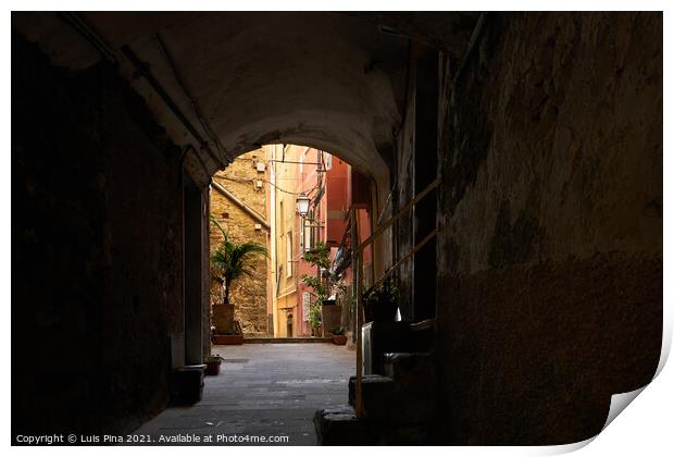 Alley Street on the center of Riomaggiore Print by Luis Pina