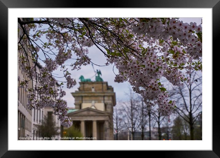 View of the Brandenburger Tor between flowers in Berlin, Germany Framed Mounted Print by Luis Pina
