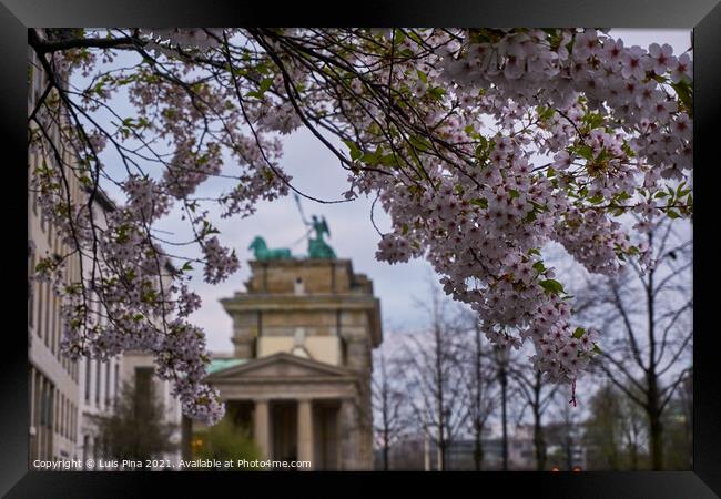 View of the Brandenburger Tor between flowers in Berlin, Germany Framed Print by Luis Pina