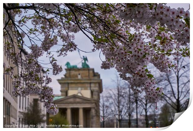 View of the Brandenburger Tor between flowers in Berlin, Germany Print by Luis Pina