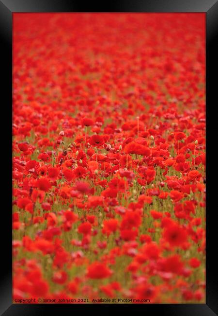 poppies galore Framed Print by Simon Johnson