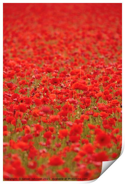 poppies galore Print by Simon Johnson