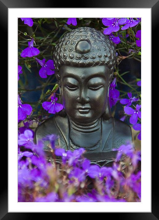 Buddha Framed Mounted Print by Wayne Molyneux