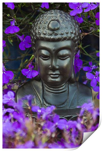 Buddha Print by Wayne Molyneux