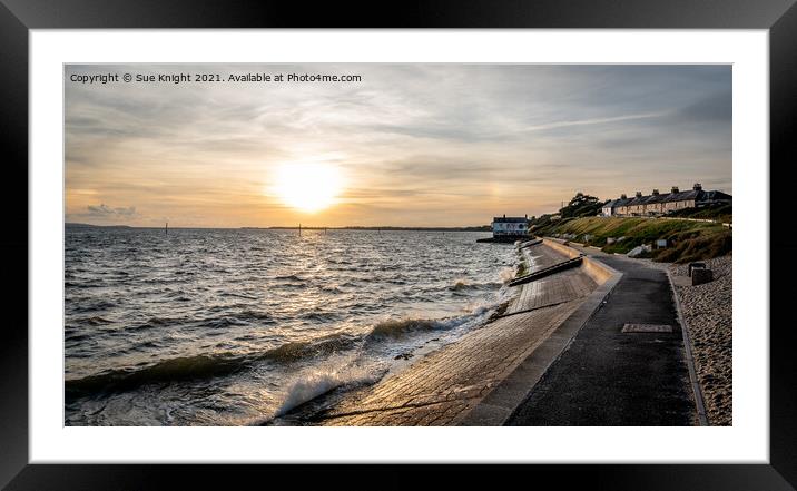 Evening glow at Lepe Framed Mounted Print by Sue Knight