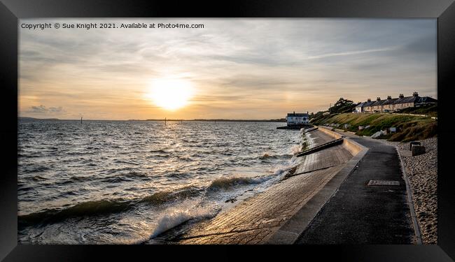 Evening glow at Lepe Framed Print by Sue Knight