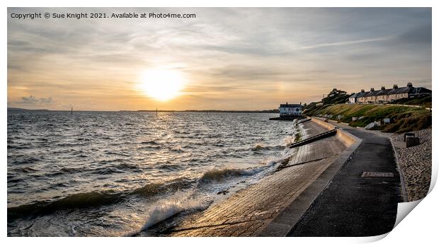 Evening glow at Lepe Print by Sue Knight