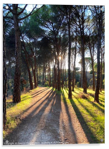 Sunlit Path in a Pine Forest Acrylic by Deanne Flouton