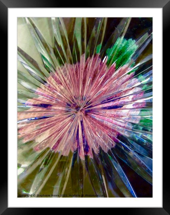 Abstract flower Framed Mounted Print by Stephanie Moore