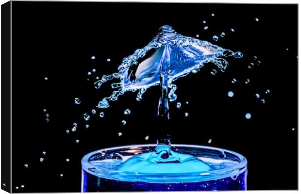 Macro Shot of a Water Drop Collision  Canvas Print by Antonio Ribeiro