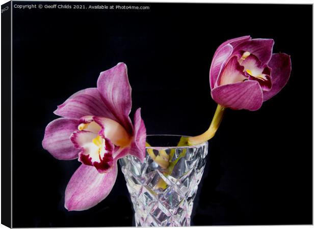  Pretty Purple pink Cymbidium Orchid in a Vase on  Canvas Print by Geoff Childs