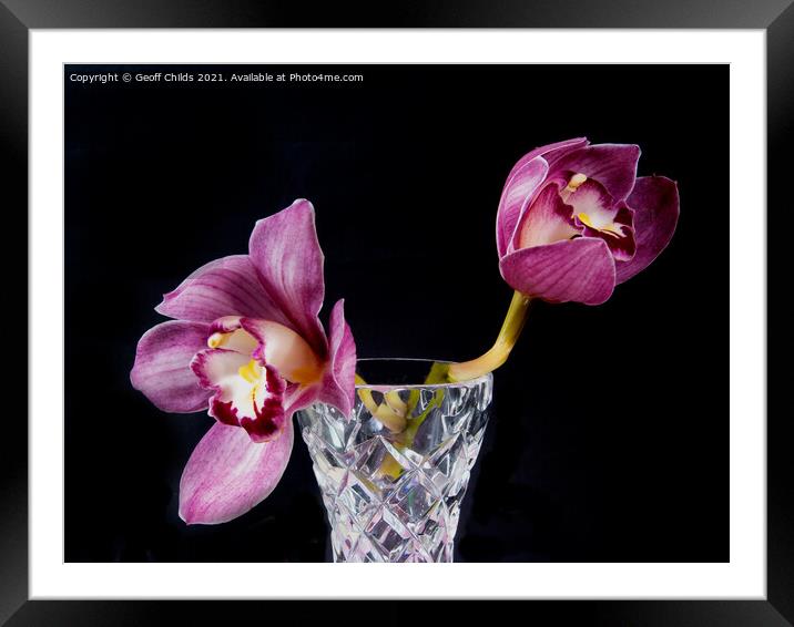  Pretty Purple pink Cymbidium Orchid in a Vase on  Framed Mounted Print by Geoff Childs