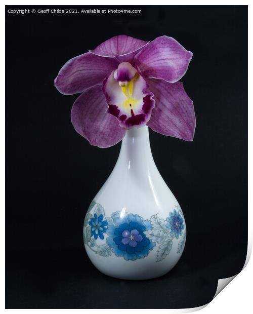  Pretty Purple pink Cymbidium Orchid in a Vase on  Print by Geoff Childs