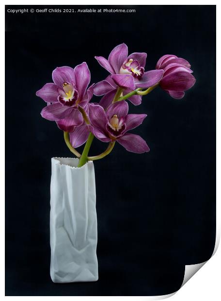  Pretty Purple pink Cymbidium Orchid in a Vase  Print by Geoff Childs