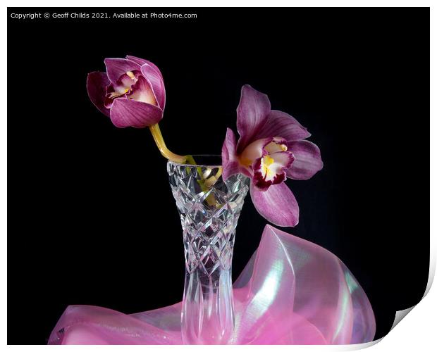  Pretty purple Cymbidium Orchid in a Vase on black Print by Geoff Childs