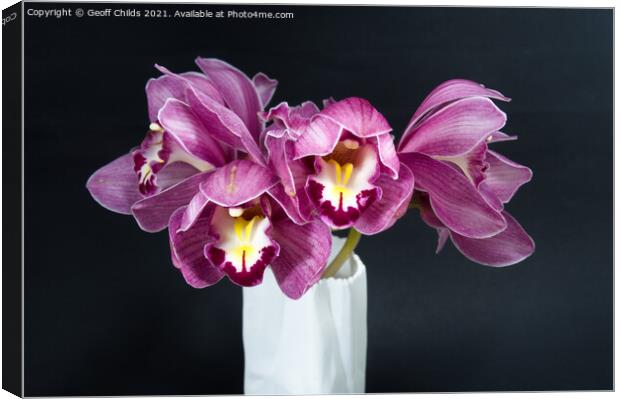  Pretty purple Cymbidium Orchid in a Vase on black Canvas Print by Geoff Childs