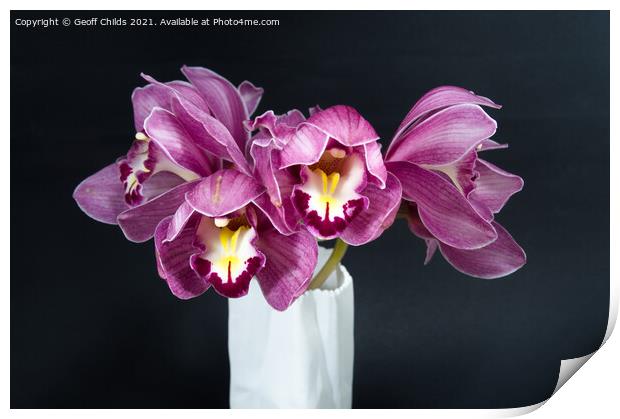  Pretty purple Cymbidium Orchid in a Vase on black Print by Geoff Childs