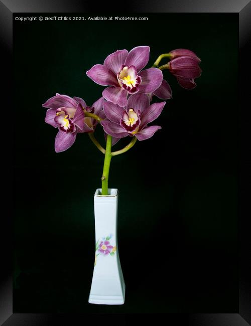 Pretty purple Cymbidium Orchid in a Vase on black Framed Print by Geoff Childs