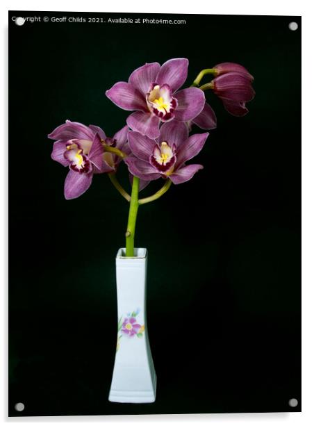  Pretty purple Cymbidium Orchid in a Vase on black Acrylic by Geoff Childs