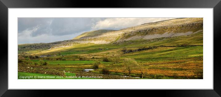 Yorkshire Dales Landscape Panoramic Framed Mounted Print by Diana Mower