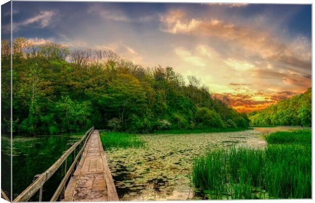 Enchanting Sunrise at The Bosherston Lily Ponds Canvas Print by Tracey Turner