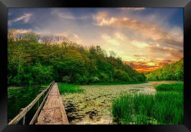 Enchanting Sunrise at The Bosherston Lily Ponds Framed Print by Tracey Turner