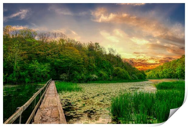 Enchanting Sunrise at The Bosherston Lily Ponds Print by Tracey Turner