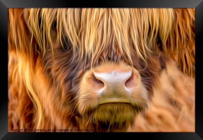 Highland Cow Framed Print by Alan Simpson