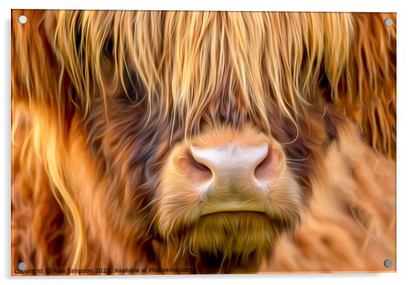 Highland Cow Acrylic by Alan Simpson