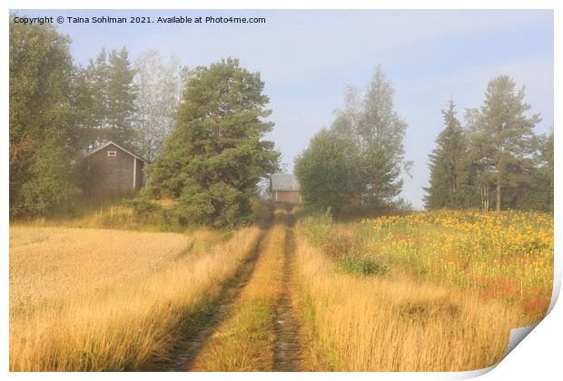 Morning Mist in the Country Print by Taina Sohlman