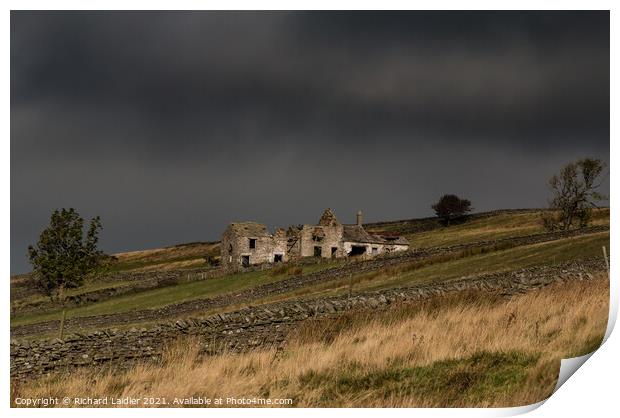 The abandoned and derelict High Stonygill Farm, Teesdale Print by Richard Laidler