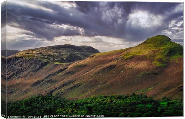 CATBELLS IN THE SUNLIGHT Canvas Print by Tony Sharp LRPS CPAGB