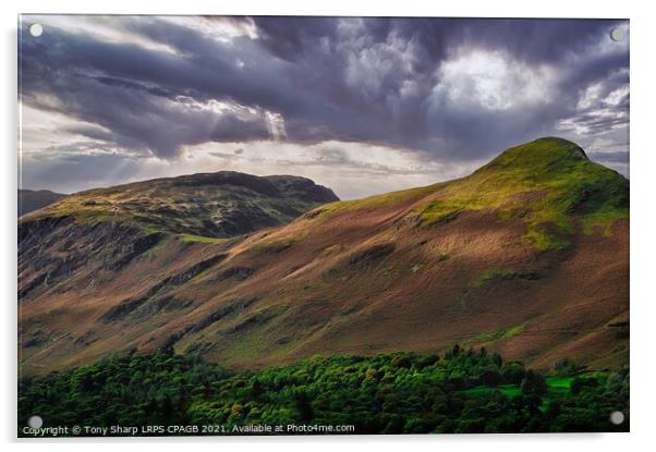 CATBELLS IN THE SUNLIGHT Acrylic by Tony Sharp LRPS CPAGB