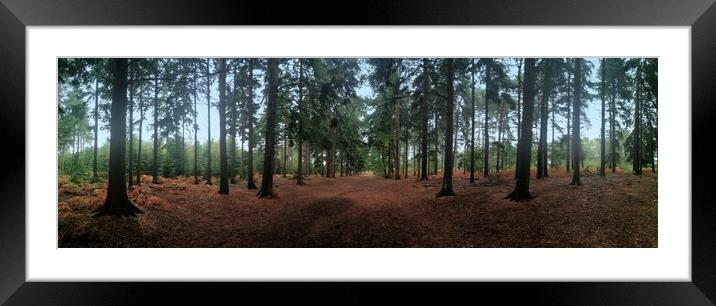 Autumn Forest 3 Framed Mounted Print by Jon Fixter