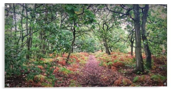 Autumn Forest 4 Acrylic by Jon Fixter